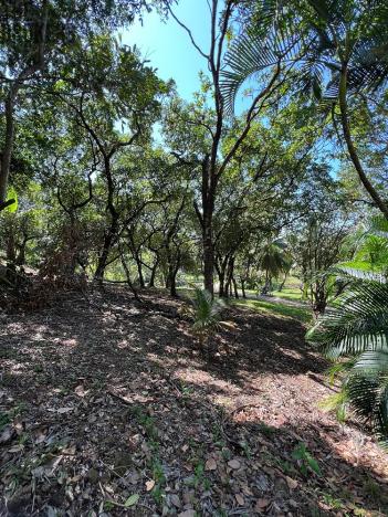 Prodej pozemku, Coxen Hole, Roatán, Honduras, 770 m2