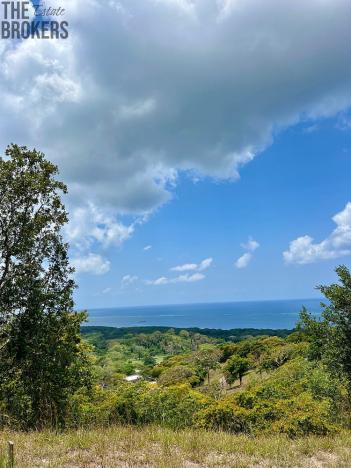 Prodej pozemku, Coxen Hole, Roatán, Honduras, 740 m2