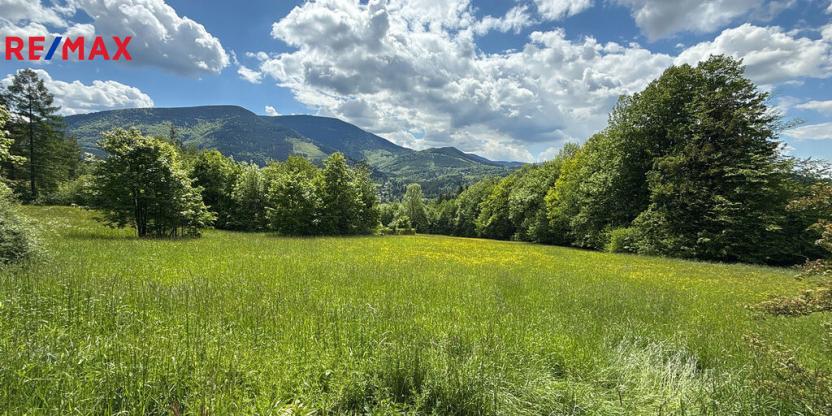 Prodej pozemku, Ostravice, 8947 m2