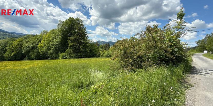 Prodej pozemku, Ostravice, 8947 m2