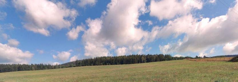 Prodej pole, Heřmánkovice, 60544 m2