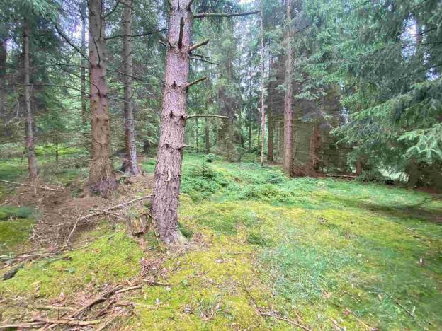 Prodej pole, Krásná, 11900 m2