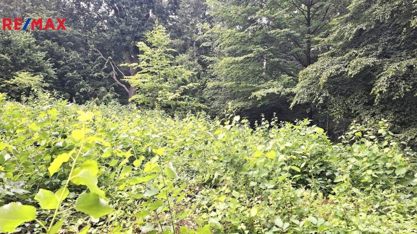 Prodej zahrady, Petřvald, 462 m2