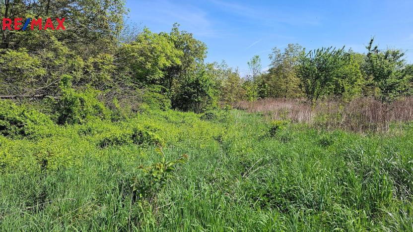 Prodej pozemku, Ostrava, 46126 m2