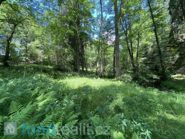 Prodej pozemku, Chřibská, 19951 m2