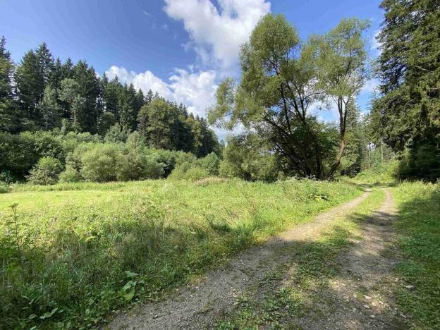 Prodej pole, Kaplice - Blansko, 843 m2