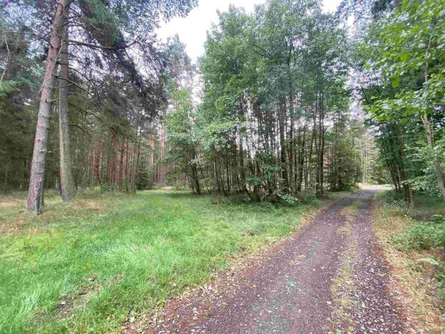 Prodej pozemku, Kladruby - Tuněchody, 2230 m2