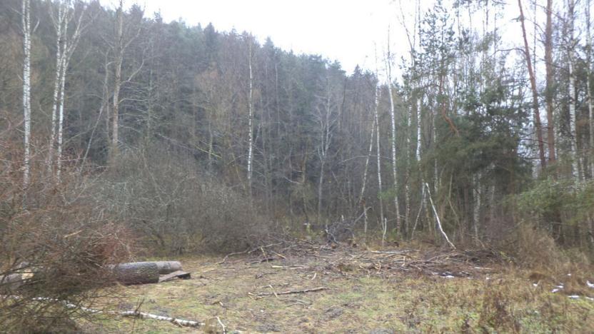 Prodej pozemku, Vyšší Brod, 919 m2