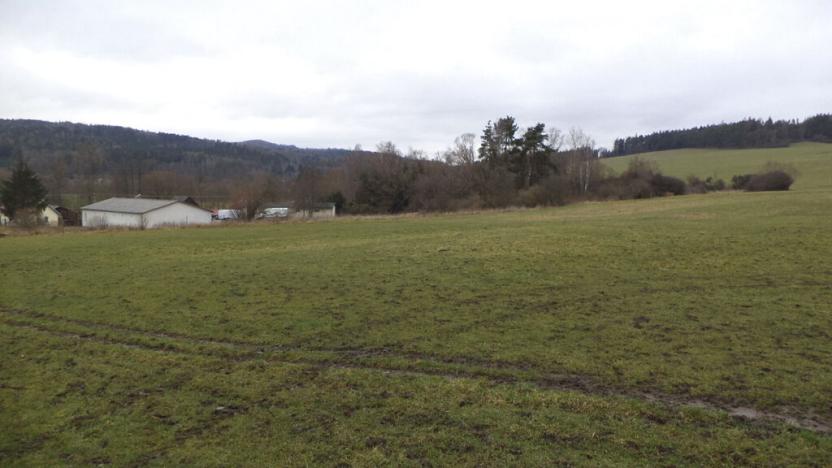 Prodej komerčního pozemku, Srby, 2298 m2