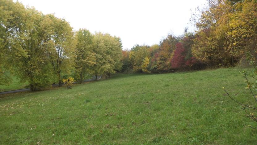 Prodej pozemku, Ústí nad Labem - Mojžíř, 2064 m2