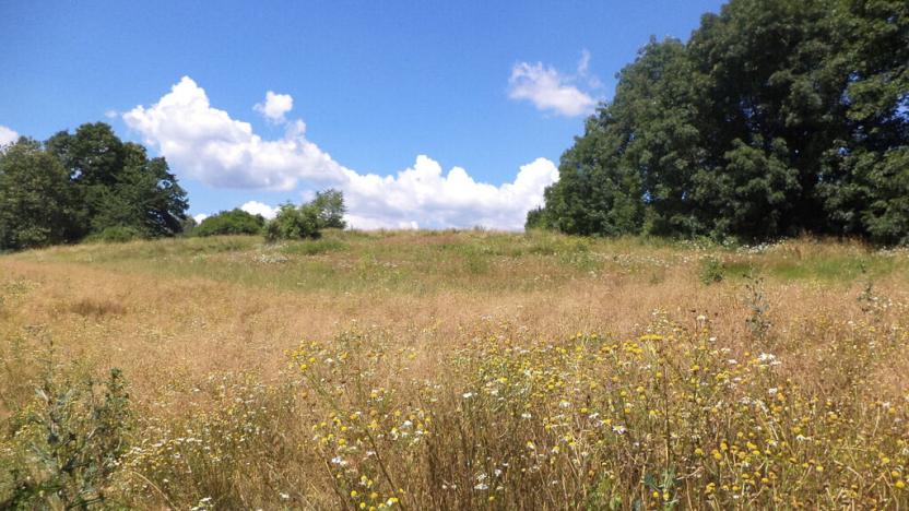 Prodej pozemku, Stráž, 15644 m2
