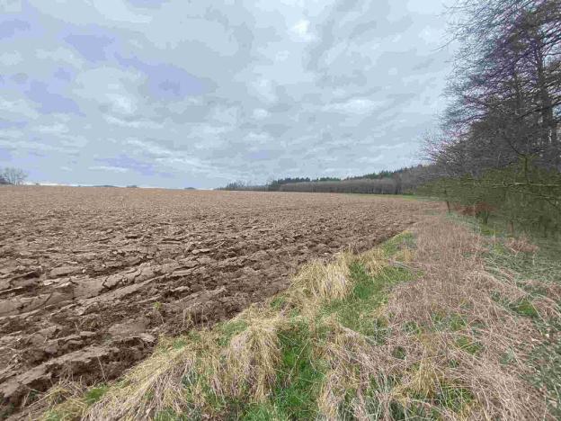 Prodej pole, Žinkovy, 15275 m2