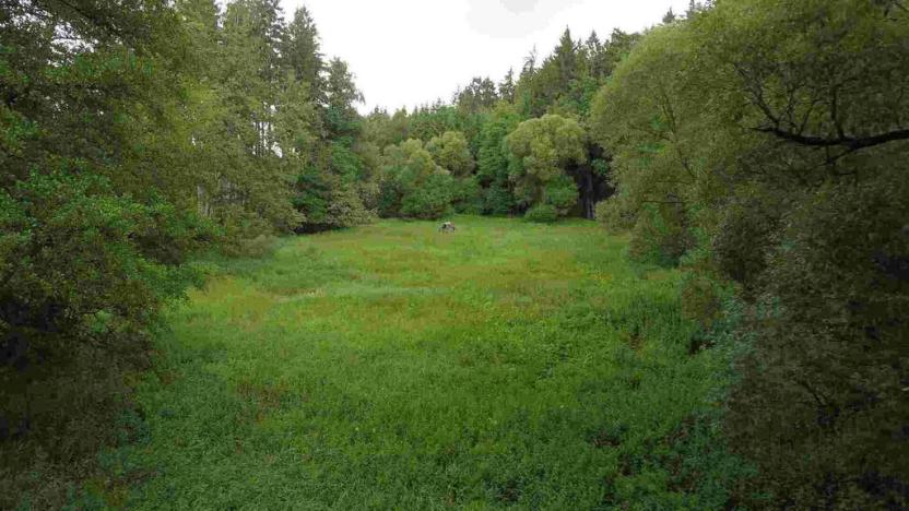 Prodej pole, Chýnov - Dobronice u Chýnova, 22334 m2