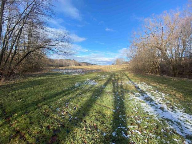 Prodej pozemku, Nová Bystřice, 3407 m2