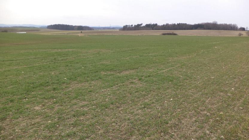 Prodej pole, Dříteň, 2330 m2