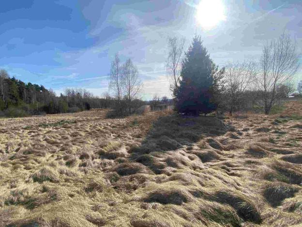 Prodej pole, Františkovy Lázně, 17923 m2