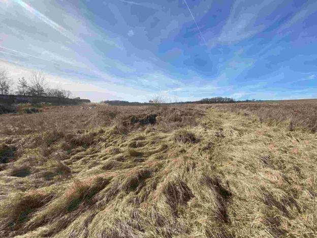 Prodej pole, Františkovy Lázně, 17923 m2