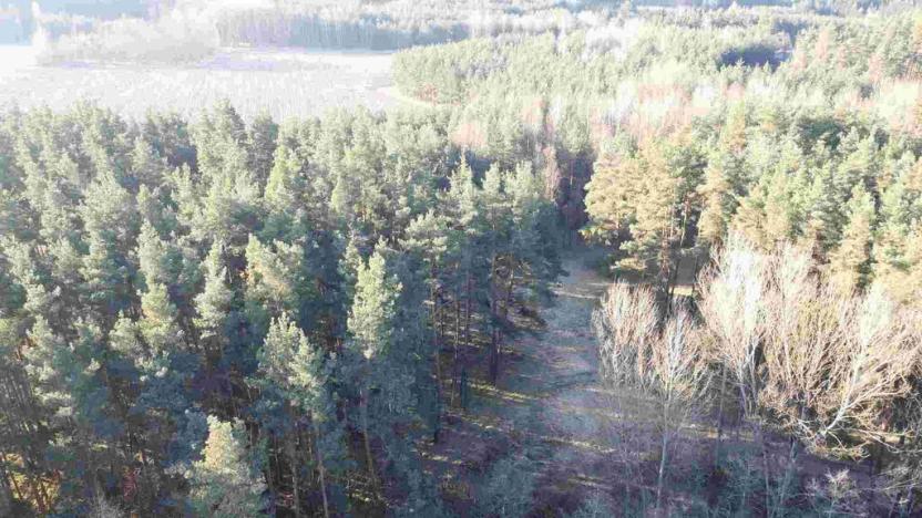 Prodej pole, Kočov - Klíčov, 3847 m2