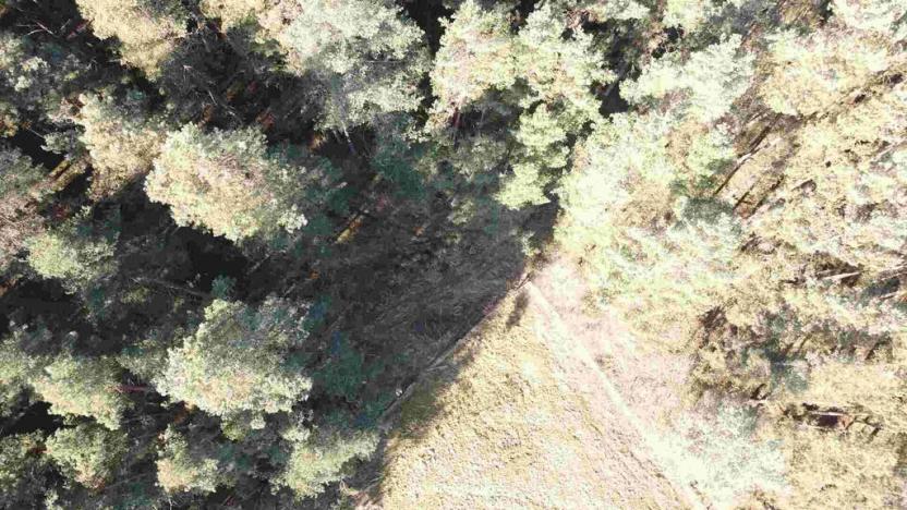 Prodej pozemku, Tisová - Kumpolec, 4563 m2