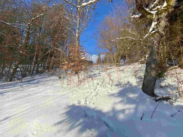 Prodej pozemku, Albrechtice v Jizerských horách, 4671 m2