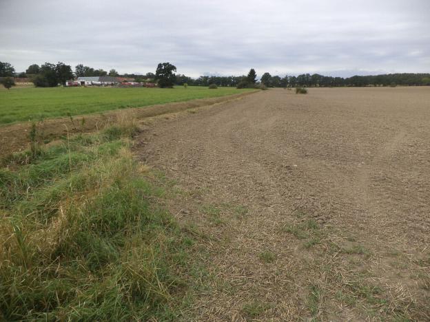 Prodej pozemku, Radošovice - Tupesy, 1227 m2