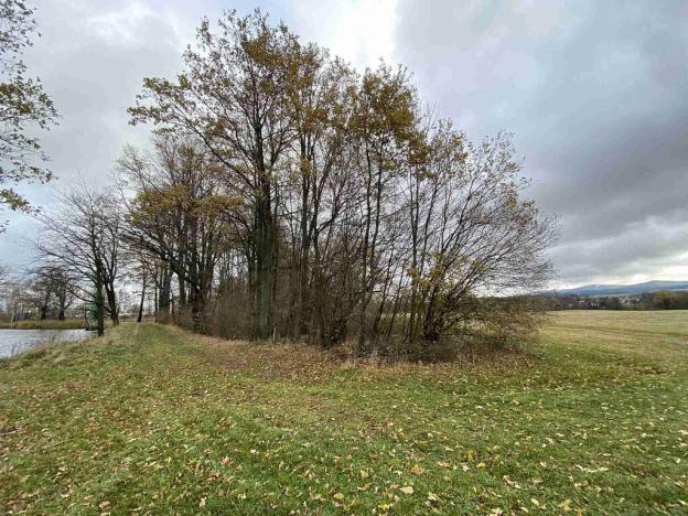 Prodej pozemku, Horní Stropnice - Svébohy, 1287 m2