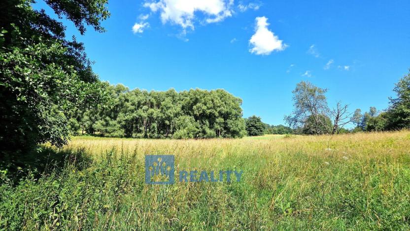 Prodej louky, Trutnov - Babí, 68585 m2