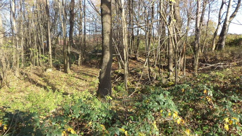 Prodej pozemku, Nové Hrady - Nakolice, 1117 m2