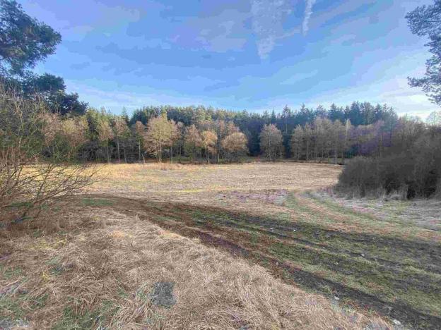 Prodej pozemku, Kočov, 5268 m2