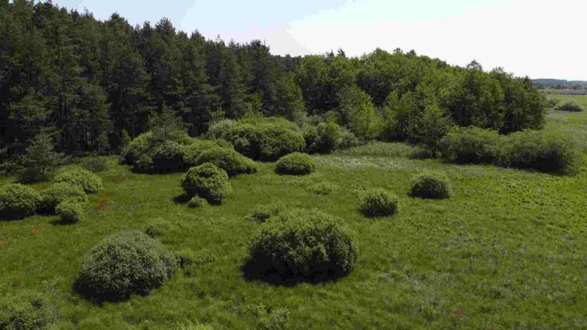 Prodej pozemku, Jílovice, 20535 m2