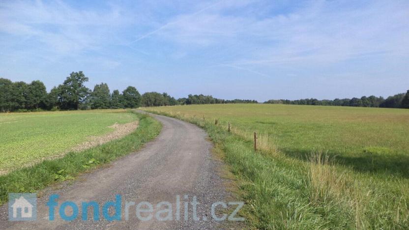 Prodej pozemku, Čejetice - Mladějovice, 3240 m2