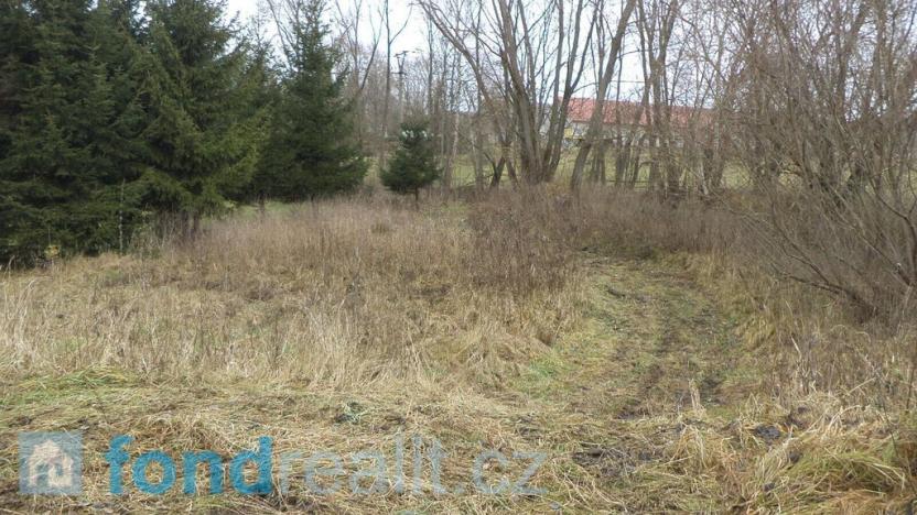 Prodej pole, Horní Planá, 45926 m2