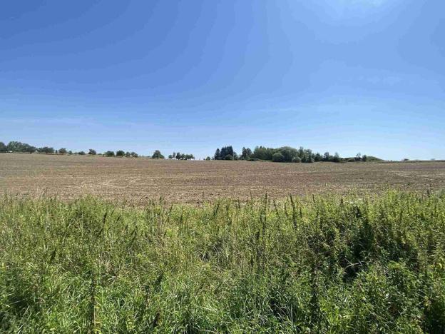 Prodej pole, Dražice, 4492 m2