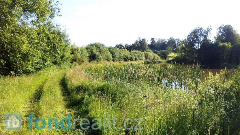 Prodej louky, Hospříz, 9504 m2