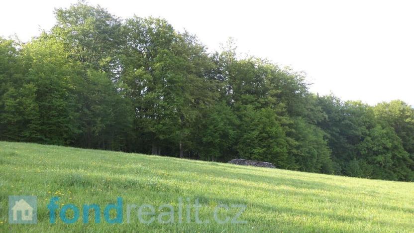 Prodej pozemku, Leskovec, 13446 m2