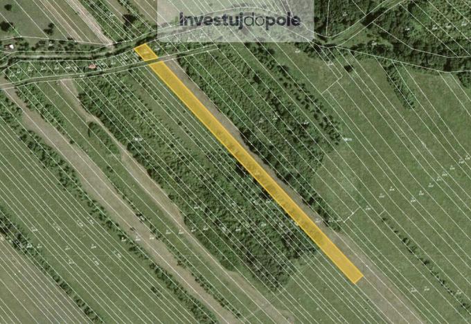 Prodej louky, Javorník, 1172 m2