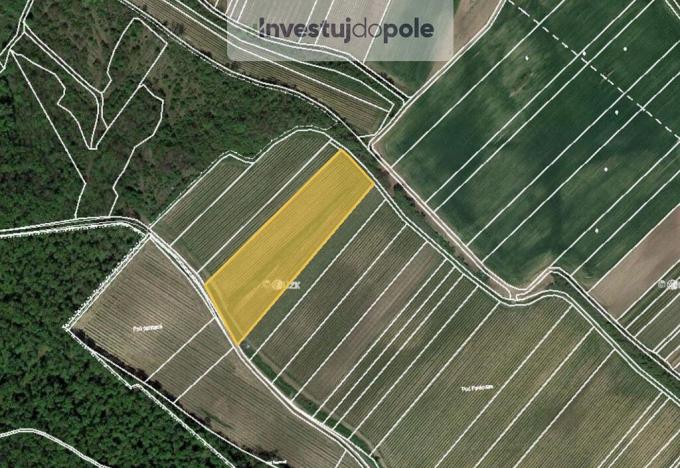 Prodej pozemku, Dolní Věstonice, 1767 m2