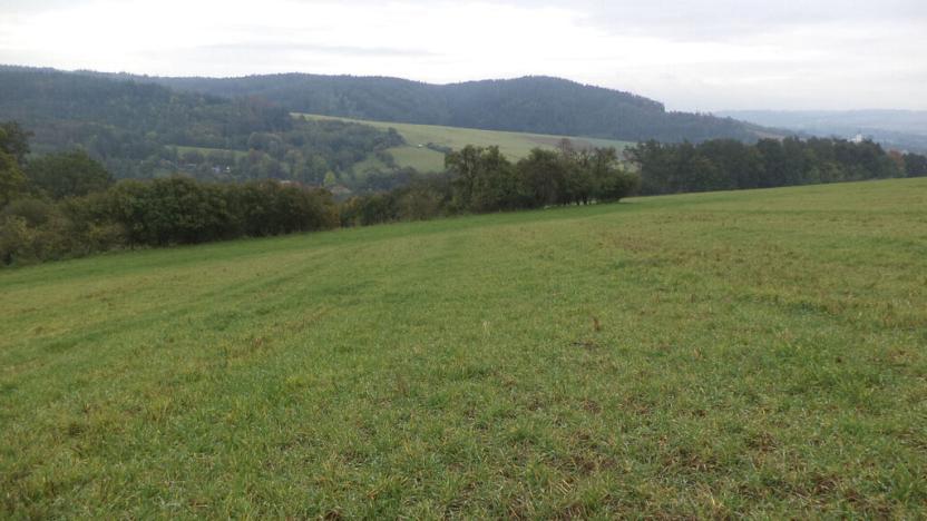 Prodej pozemku, Zbraslavec, 3445 m2