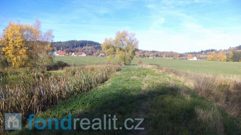 Prodej pozemku, Borovná, 1225 m2