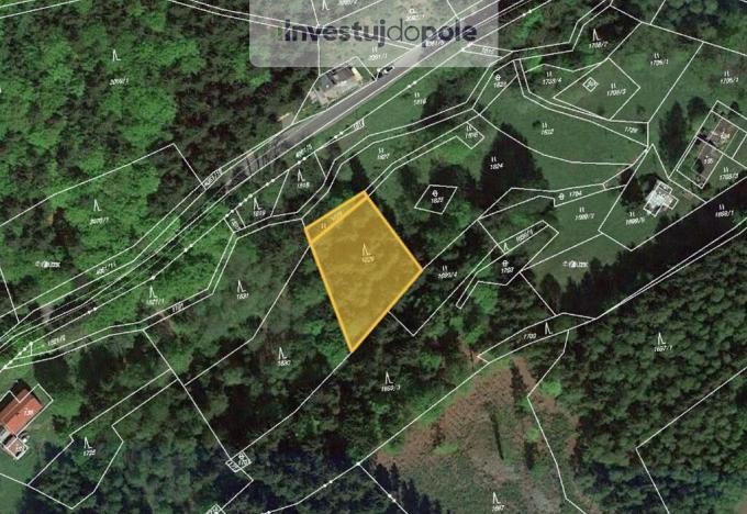 Prodej lesa, Jablonec nad Jizerou - Bratrouchov, 1281 m2