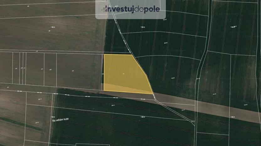 Prodej pole, Neuměřice, 6987 m2