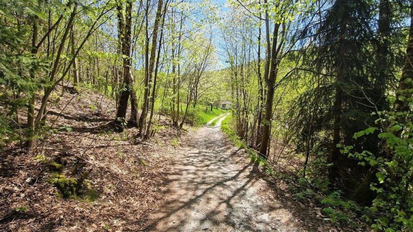 Prodej pozemku, Radčice, 1417 m2