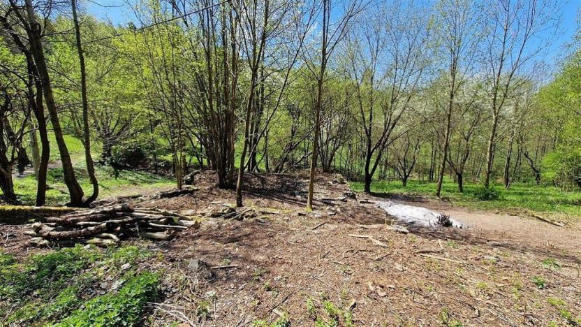 Prodej pozemku, Radčice, 1417 m2