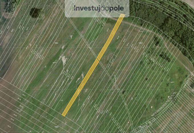 Prodej pole, Mikulčice, 1713 m2