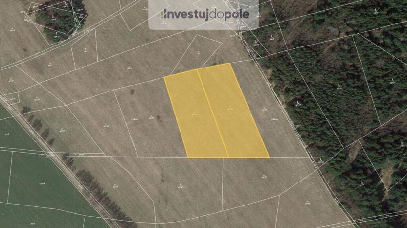 Prodej louky, Pustá Kamenice, 13175 m2
