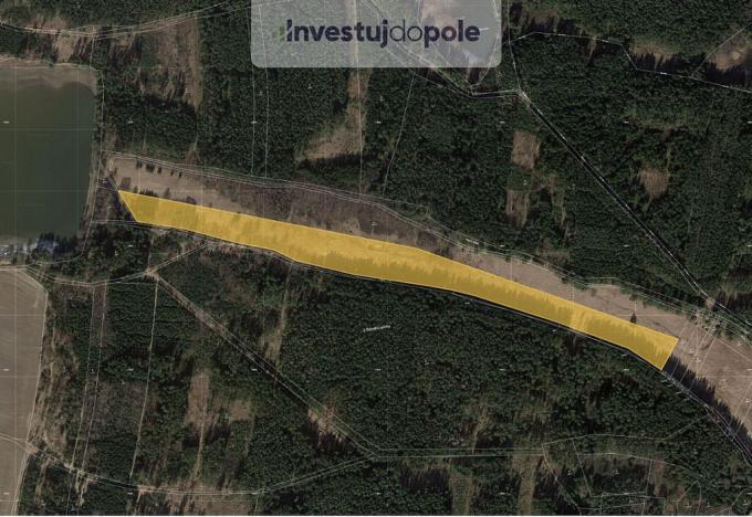 Prodej louky, Trstěnice, 40954 m2