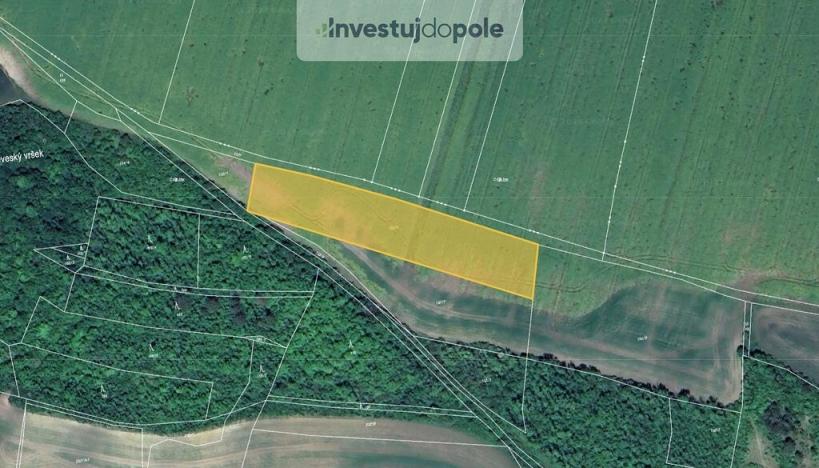 Prodej pole, Chožov - Třtěno, 5755 m2