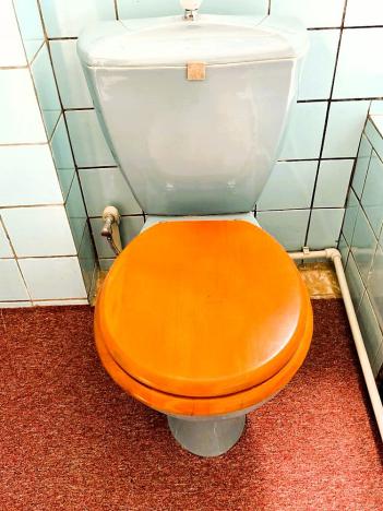 Prodej rodinného domu, Třemošná, 1. máje, 484 m2