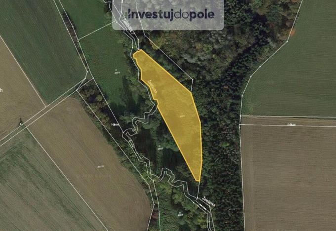 Prodej louky, Krasonice, 2150 m2