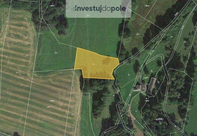 Prodej louky, Kasejovice - Podhůří, 2026 m2